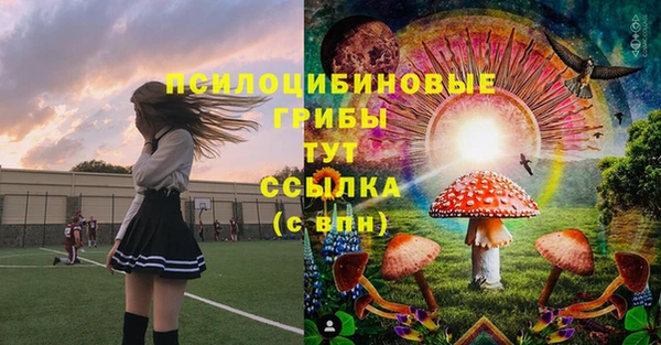 марки lsd Бородино